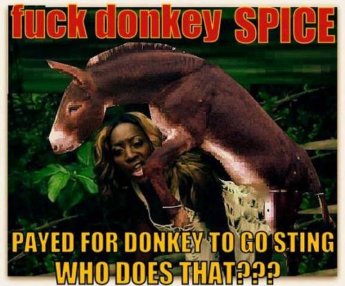 donkey_spice-Optimized