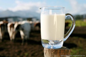milk-Optimized